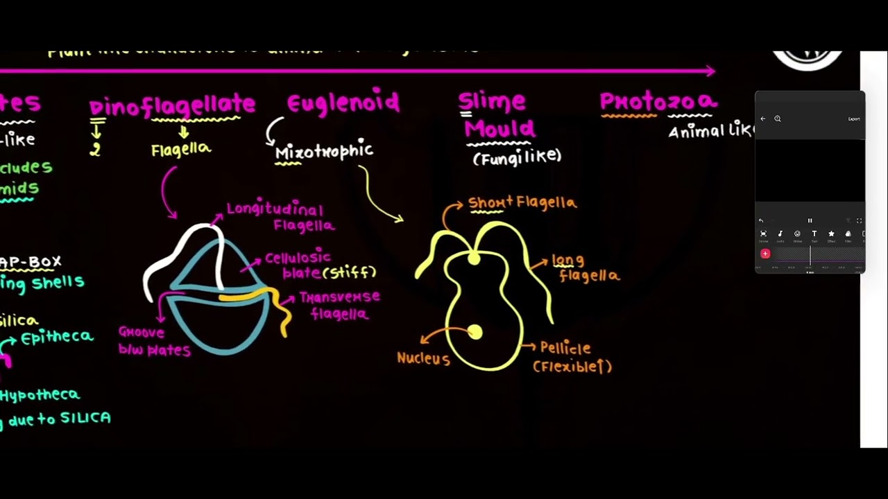 2 biological Classification