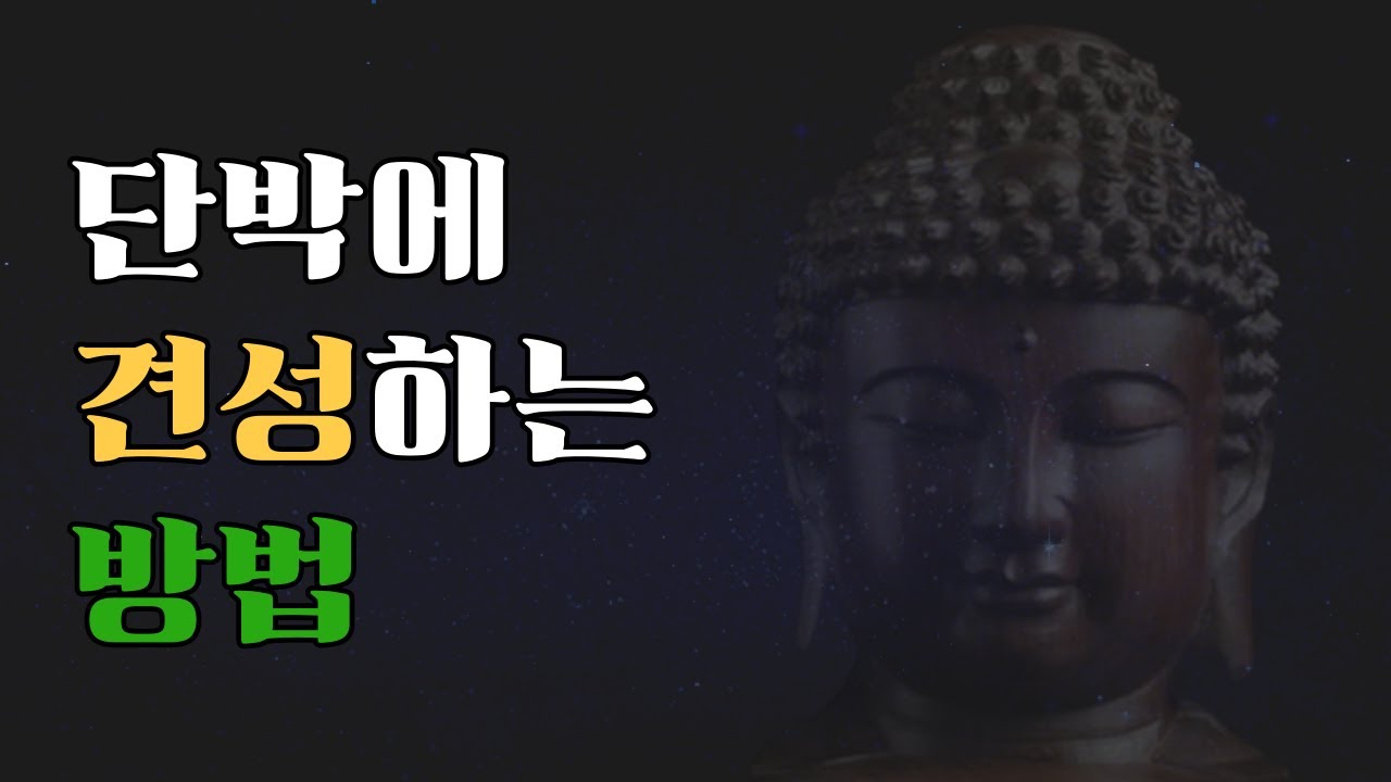 단박에 견성하는 방법 #견성의 의미