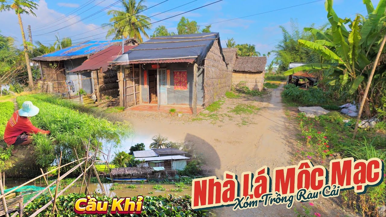 Khám Phá Xóm Nhà Lá, Và Nghề Trồng Rau, Cây Cầu Tre Bắt Ngang Con Kênh Nhỏ | Dấu Chân Quê