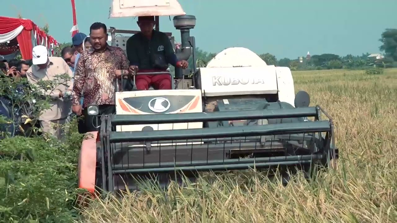 Mentan Amran Sulaiman Tinjau Panen Raya dan Dengarkan Keluhan Petani di Gresik