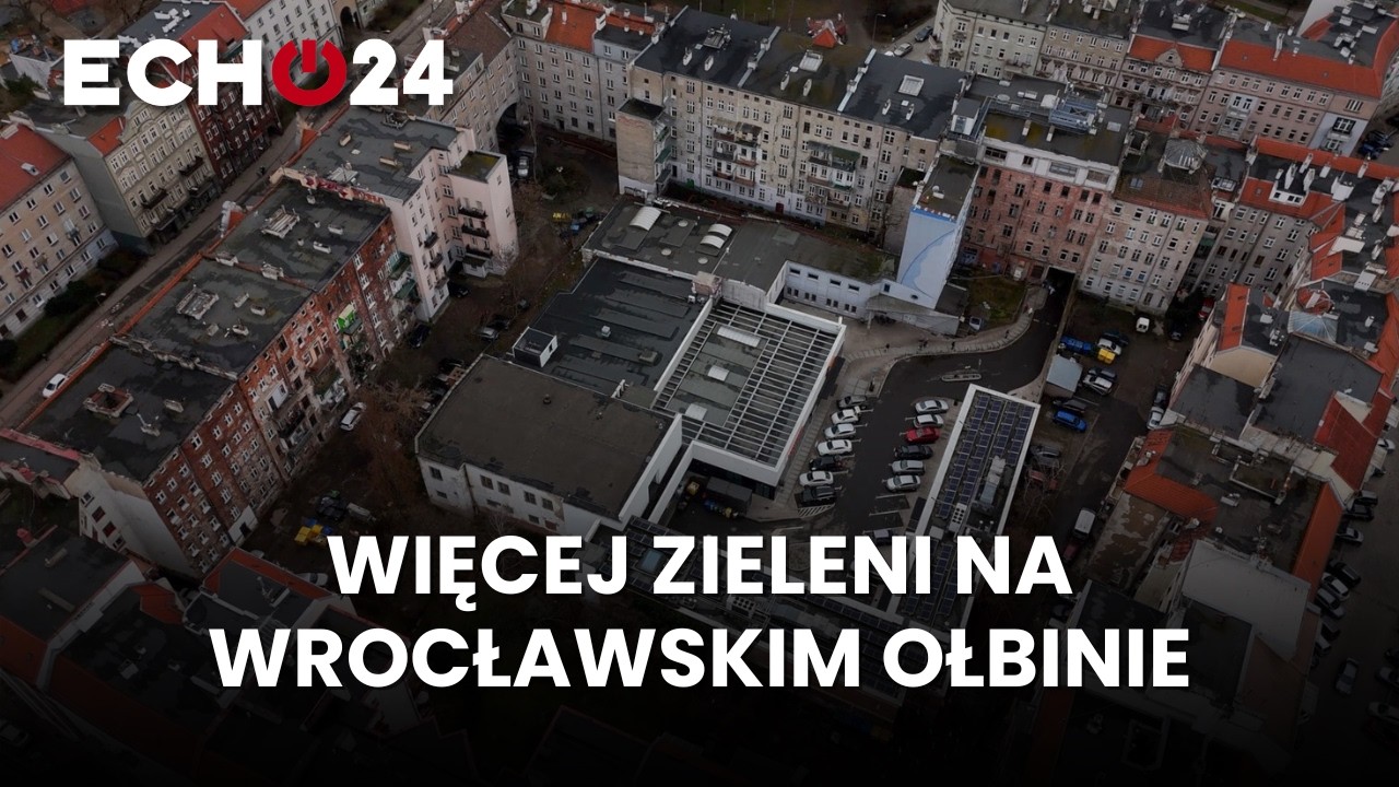 Więcej zieleni na wrocławskim Ołbinie