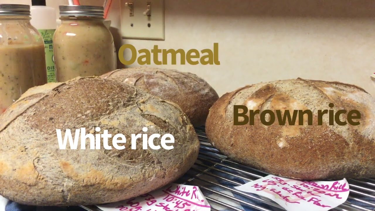 Gluten Free Sourdough Bread Experiment