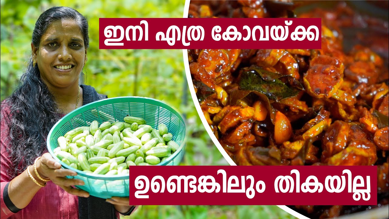 Kovakka Achar & Kovakka Kondattam Recipe in Malayalam | കോവയ്ക്ക അച്ചാർ കോവയ്ക്ക കൊണ്ടാട്ടം