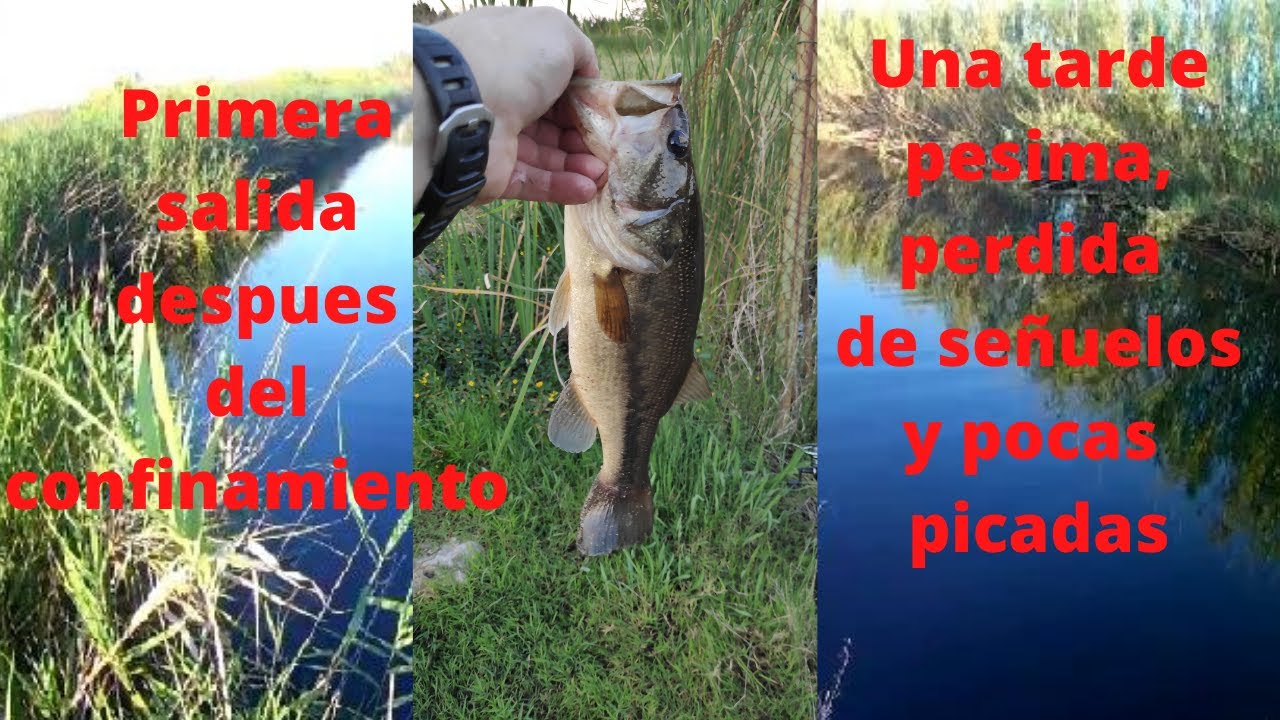 18 de mayo primera salida.