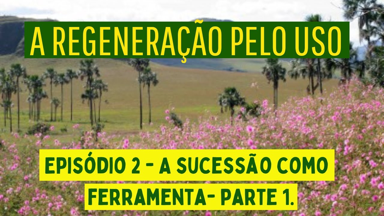A REGENERAÇÃO PELO USO - EPISÓDIO 2 - A sucessão natural como ferramenta - PARTE 1.