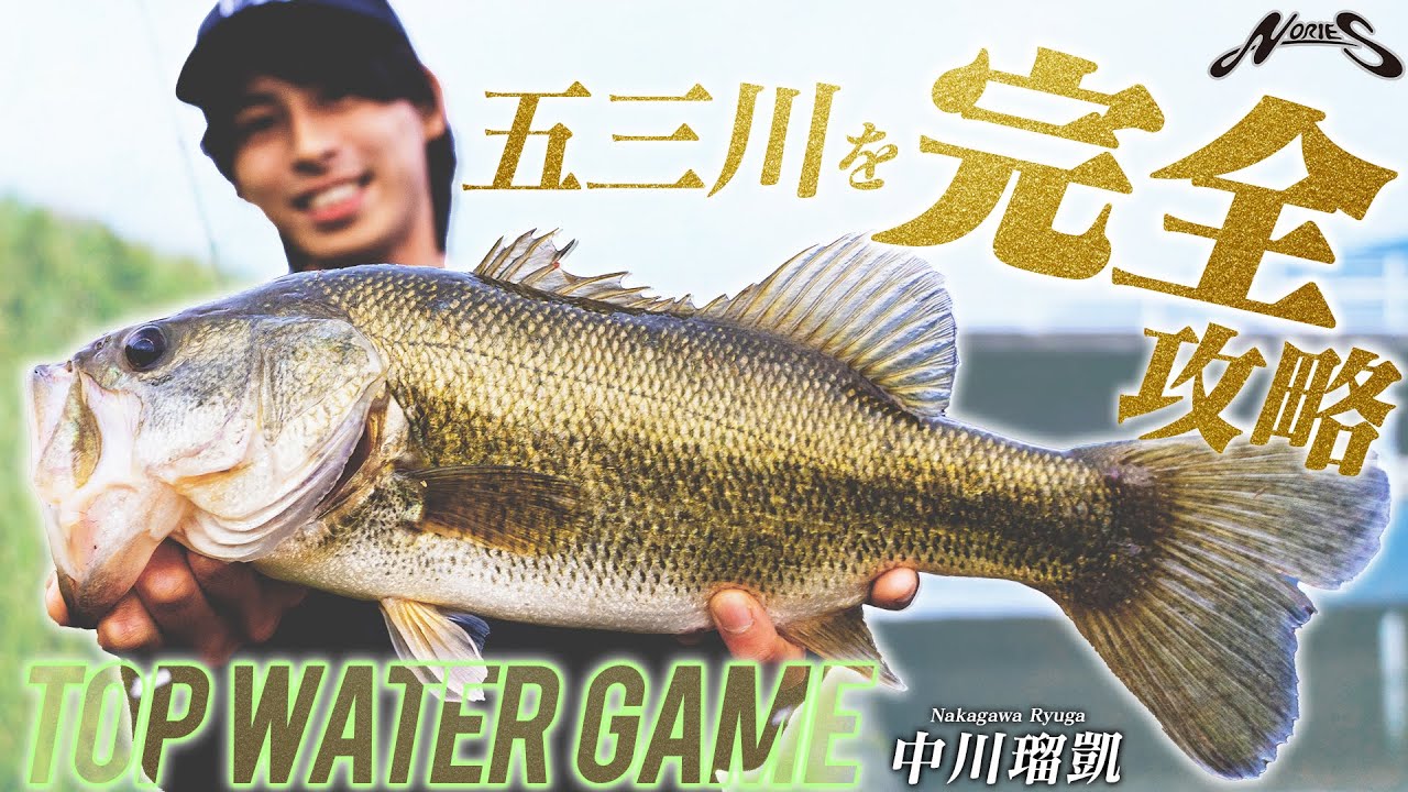 【水面炸裂】攻めのオカッパリ“トップウォーター”ロジック