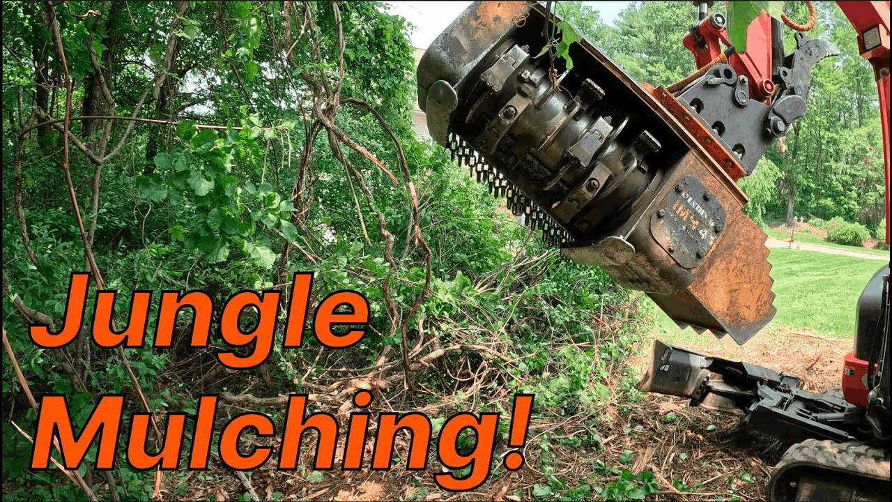 Jungle Mulching! - Forestry Mulching in Action