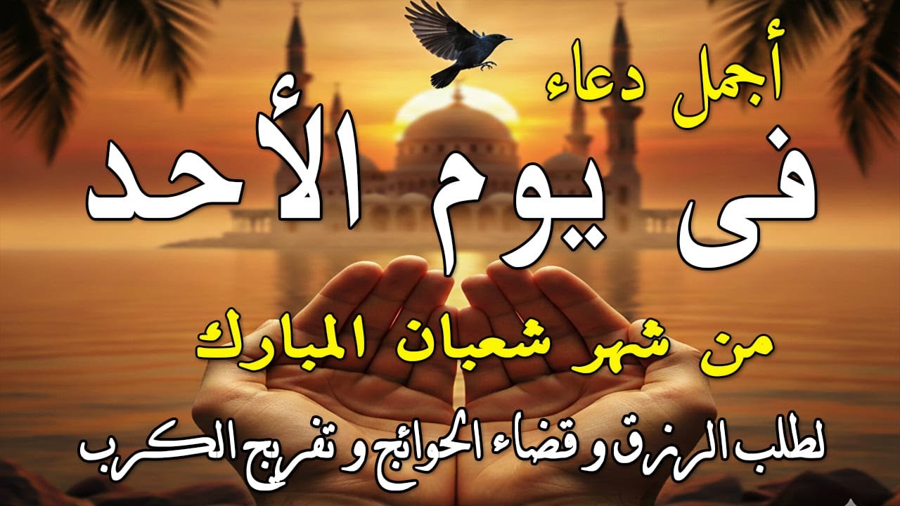 دعاء فى يوم الجمعة المستجاب دعاء يوم 4 من شهر شعبان للرزق والشفاء العاجل وقضاء الحوائج 🤲(4k)