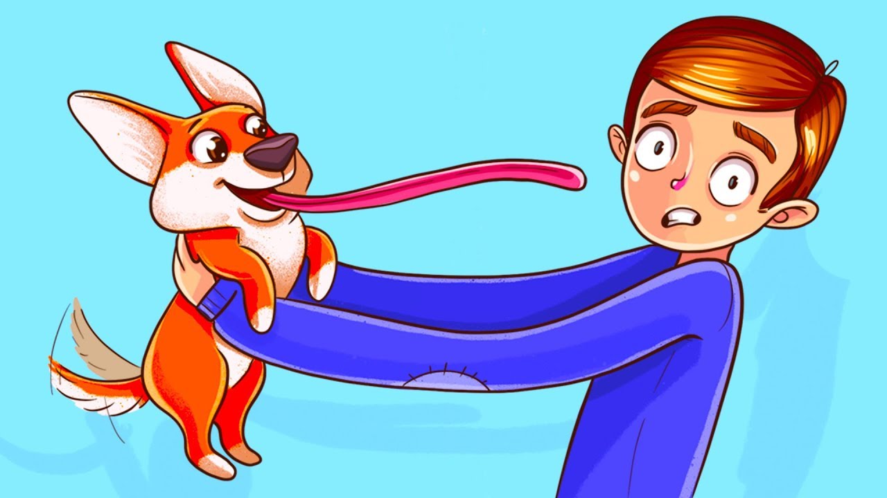 La Science Prouve Que Les Chiens Comprennent ce Que tu Leur Dis