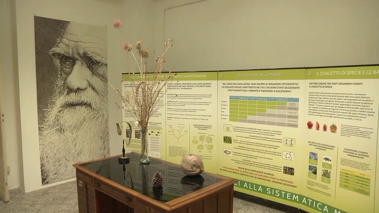 Il Museo Orto Botanico dell’Università di Bari e il suo Erbario