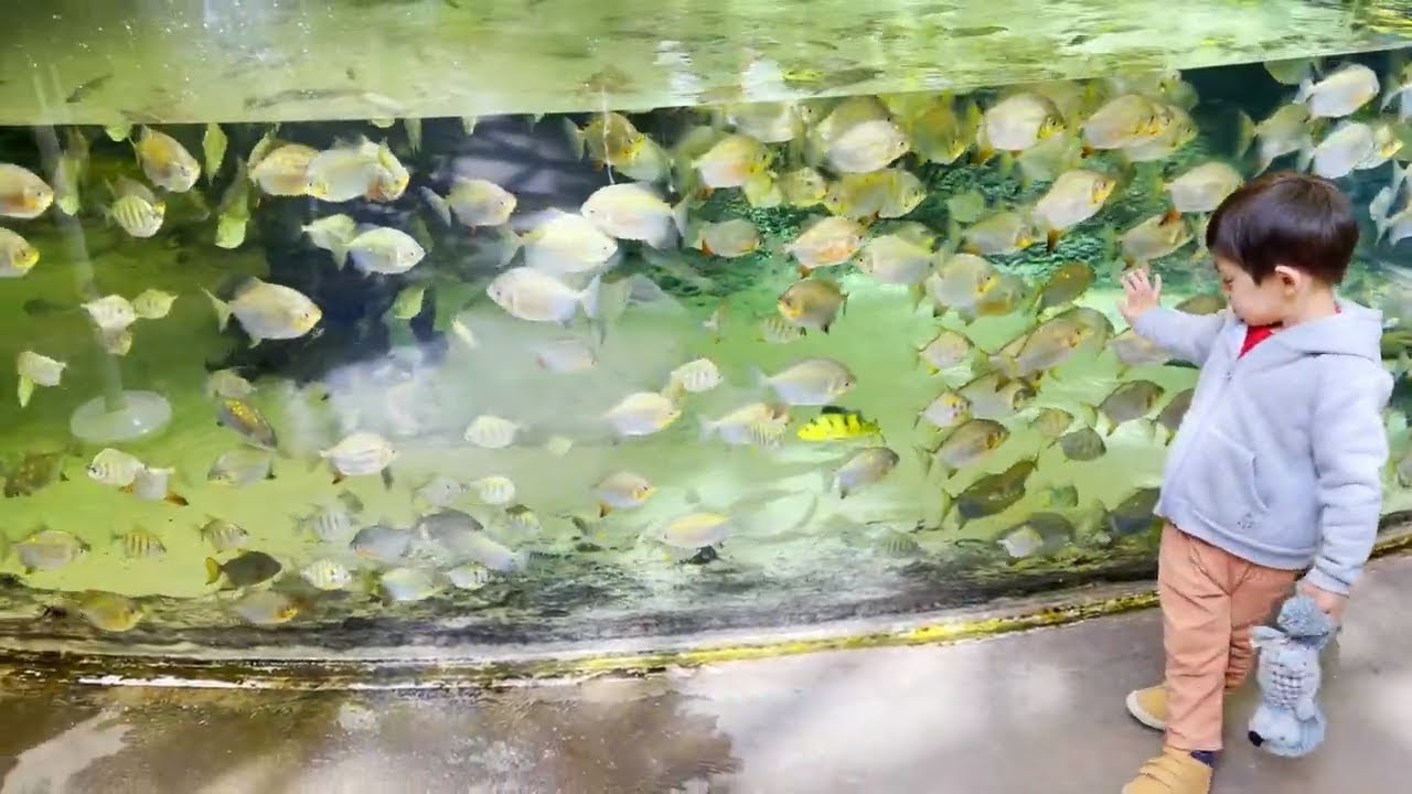 Animal Park Biodome Montreal, Kid fun