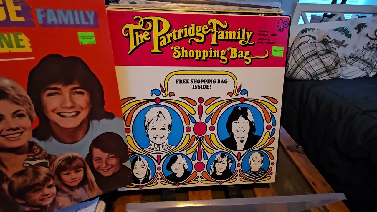 * Vinyl Haul* Mod Maid's Maple Music presents record shopping in Michigan and Canada 