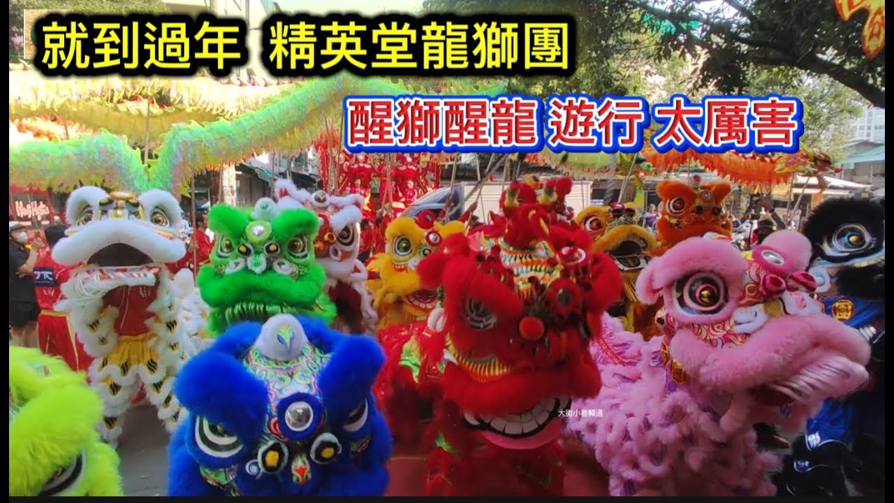 就到過年 精英堂龍獅團 醒獅醒龍 遊行 太厲害 Saigon Quan11 越南胡志明市（粤語）