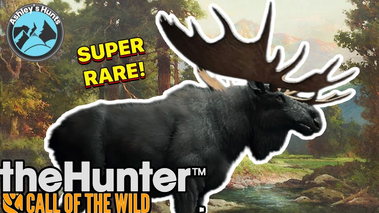 MY FIRST SUPER RARE!!!! MELANISTIC MOOSE!- The Hunter call of the wild