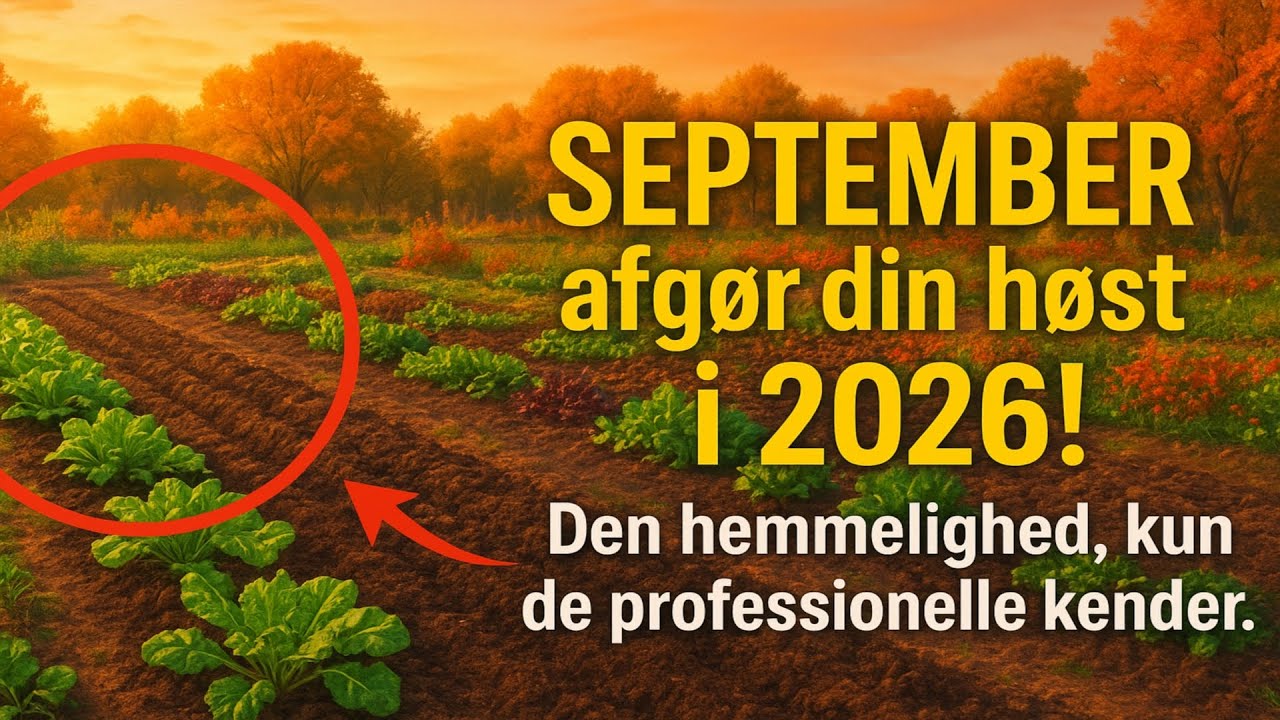 Hvorfor din h&oslash;st i 2026 afh&aelig;nger af SEPTEMBER? Ssssh... En hemmelighed, som kun de rigtige professi