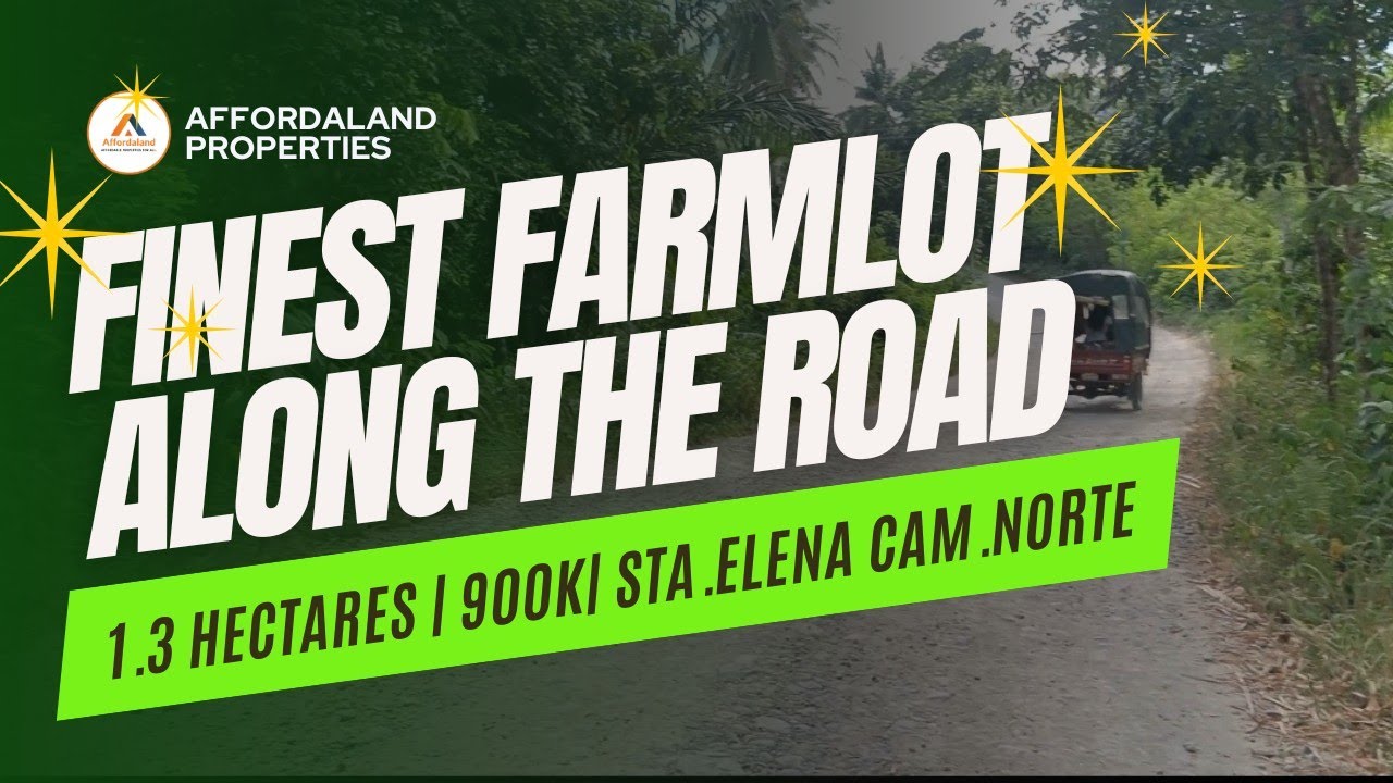 V136 FINEST FARMLOT ALONG THE ROAD| 1.3 HAS.| 900k#farmlot#farmforsale#realestate 