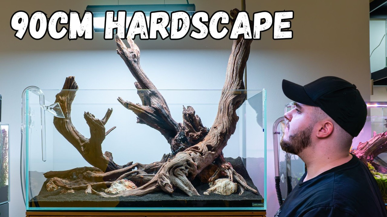 So baue ich das Hardscape für mein 90cm Nature Aquarium
