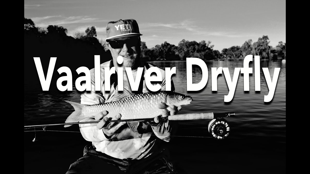 Vaal River Nymphing Yellow Fish Flyfishing
