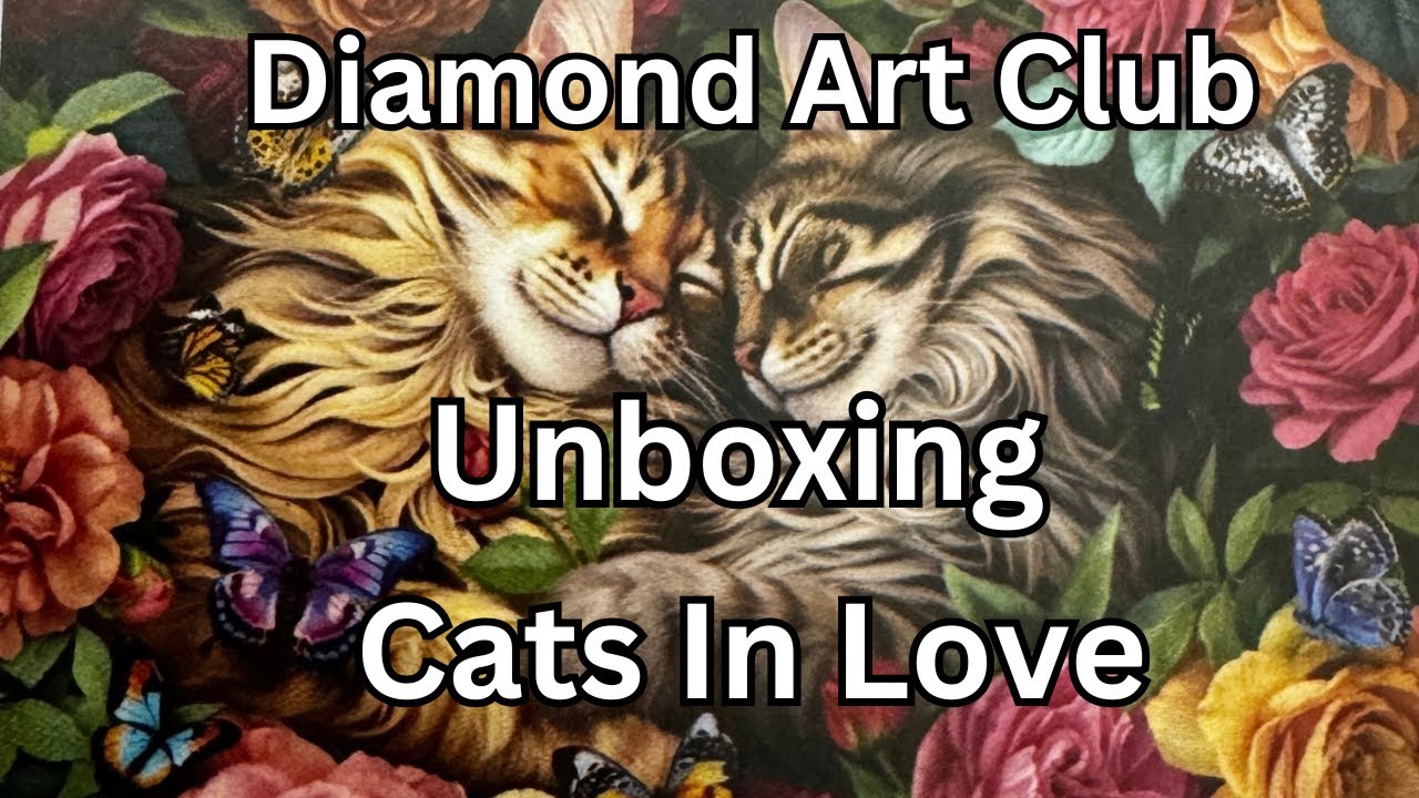 Распаковка алмазной картины от Diamond Art Club - Влюбленные кошки - Открытие хранилища - Алмазна...