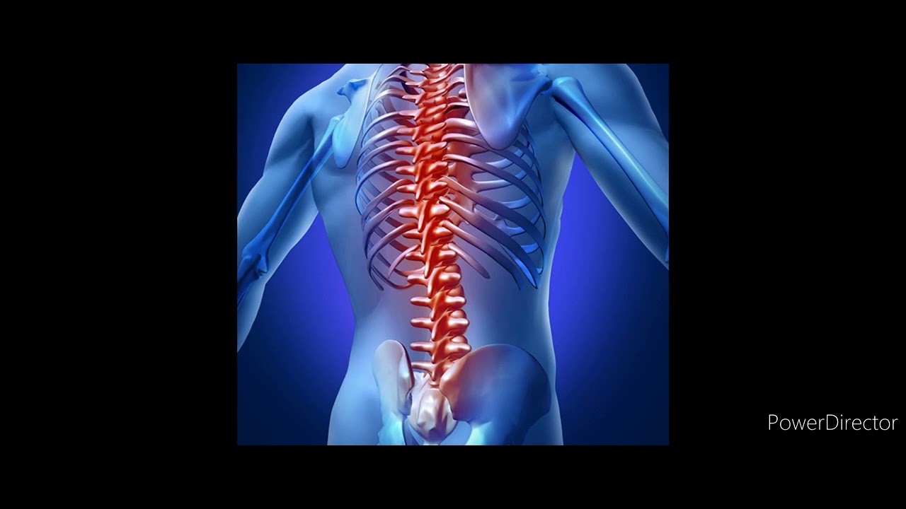 19. Mai 2022 божественное выравнивания пазврночника