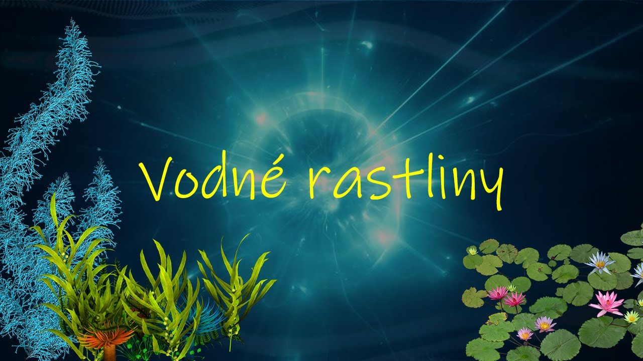 Biológia 5. ročník _ Vodné rastliny (celé video nájdete na HEROHERO)