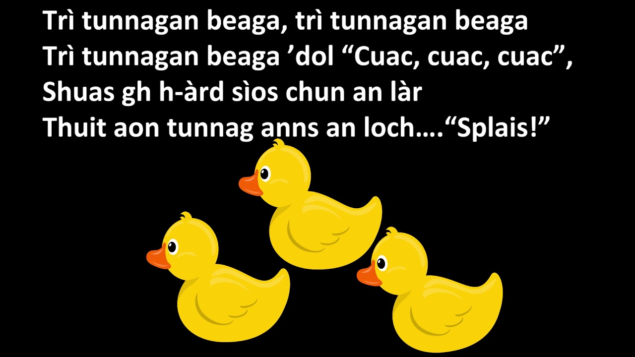 coig tunnagan beaga - five little ducks