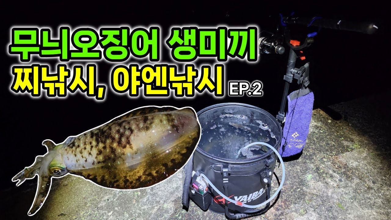 산란철 대물 무늬오징어를 만난다는 생미끼 찌낚시 야엔낚시 EP.2 (ヤエン釣り, Bigfin Squid fishing)