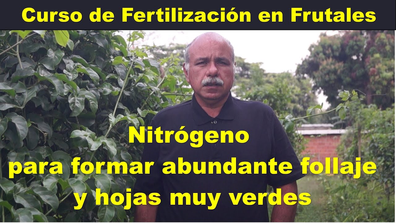 Nitrógeno para producir mucho follaje verde oscuro en Maracuya, Curso de Fertilización en Frutales