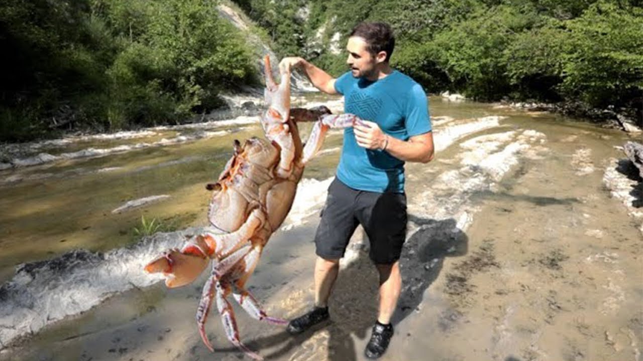 Il misterioso GRANCHIO DI FIUME