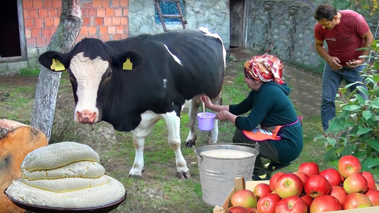 Village Life in Azerbaijan Cheese Making at Home | KHACHAPURI |
