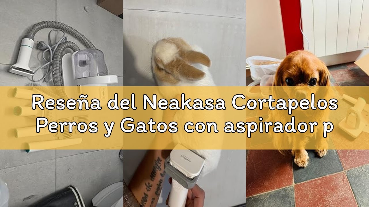 Reseña del Neakasa Cortapelos Perros y Gatos con aspirador pelos mascotas, 99% Succión de Pelo, Maqu