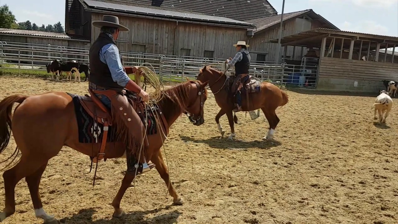 Topspine Cowhorsedays 2017