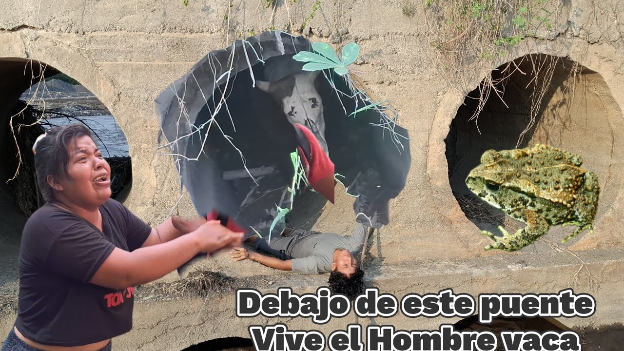 ‼️Urgente hombre vaca Arr4stra a Eber de bajo de este puente😱Rosi le grita llorando😭