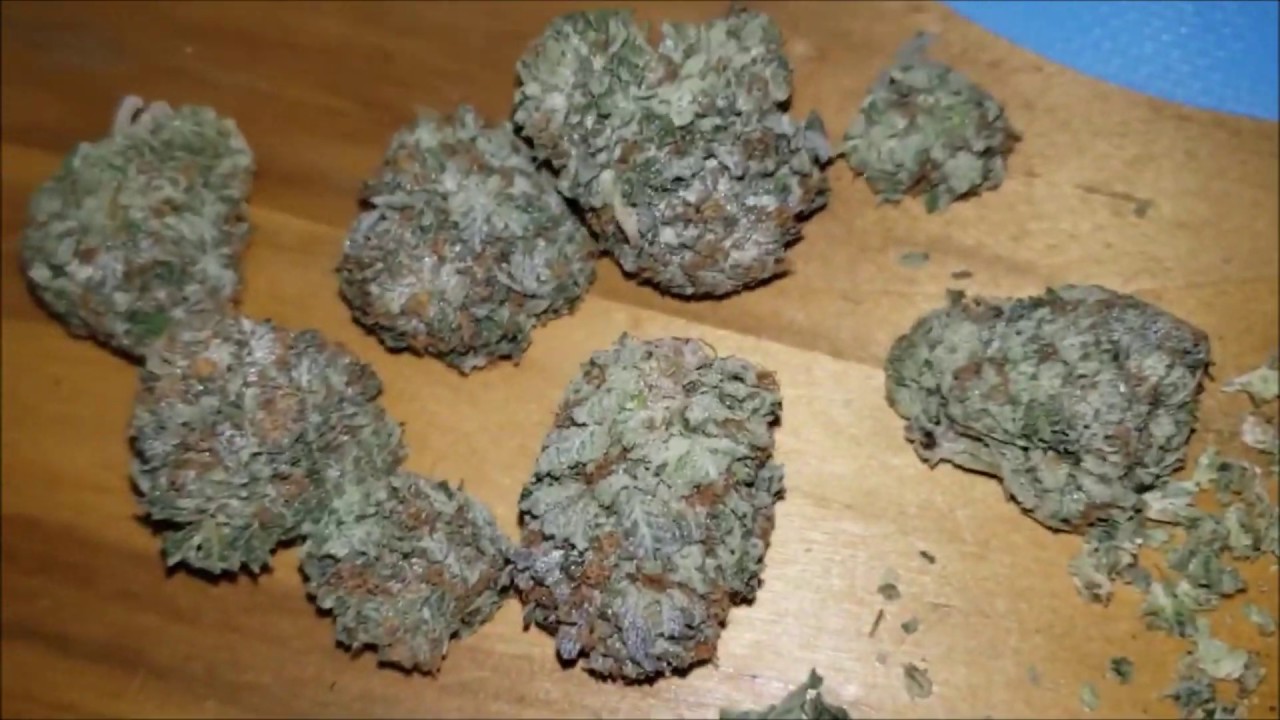 STRAIN REVIEW 106: pink bubba - Lowpricebud
