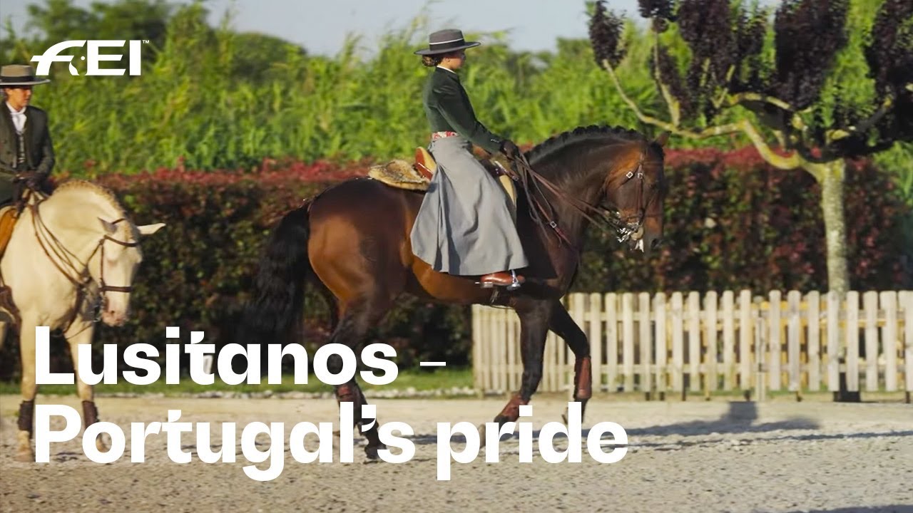 Lusitanos: Portugal's enduring natural treasure | The RIDE presented by Longines