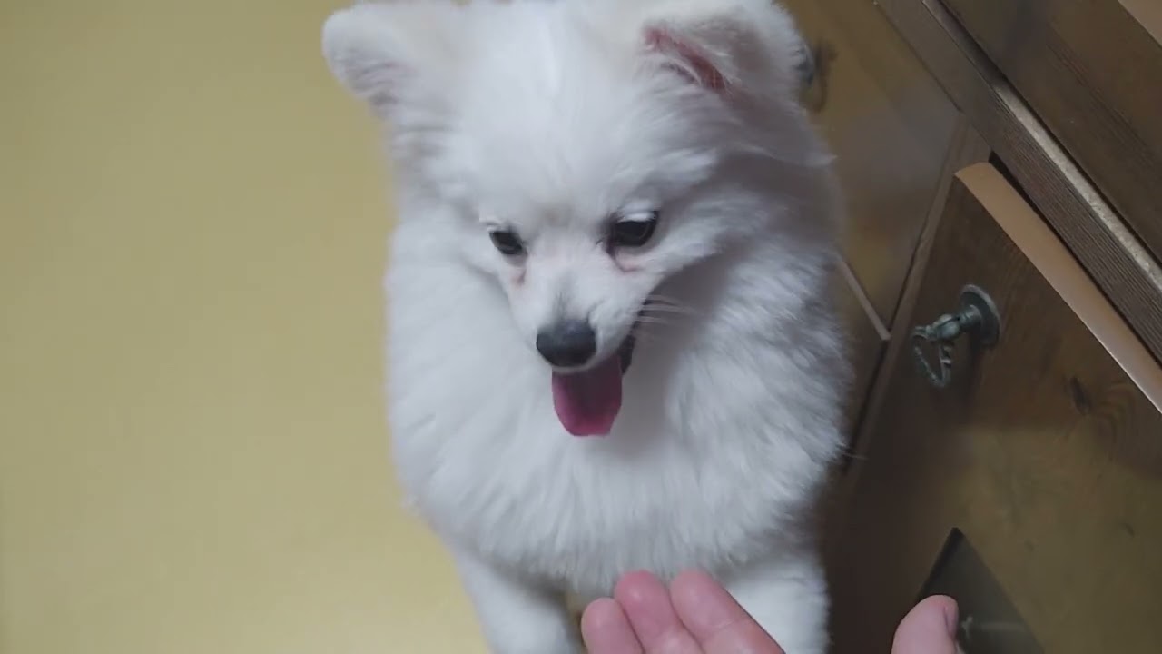 [E-WALL]이월이 꽃단장
