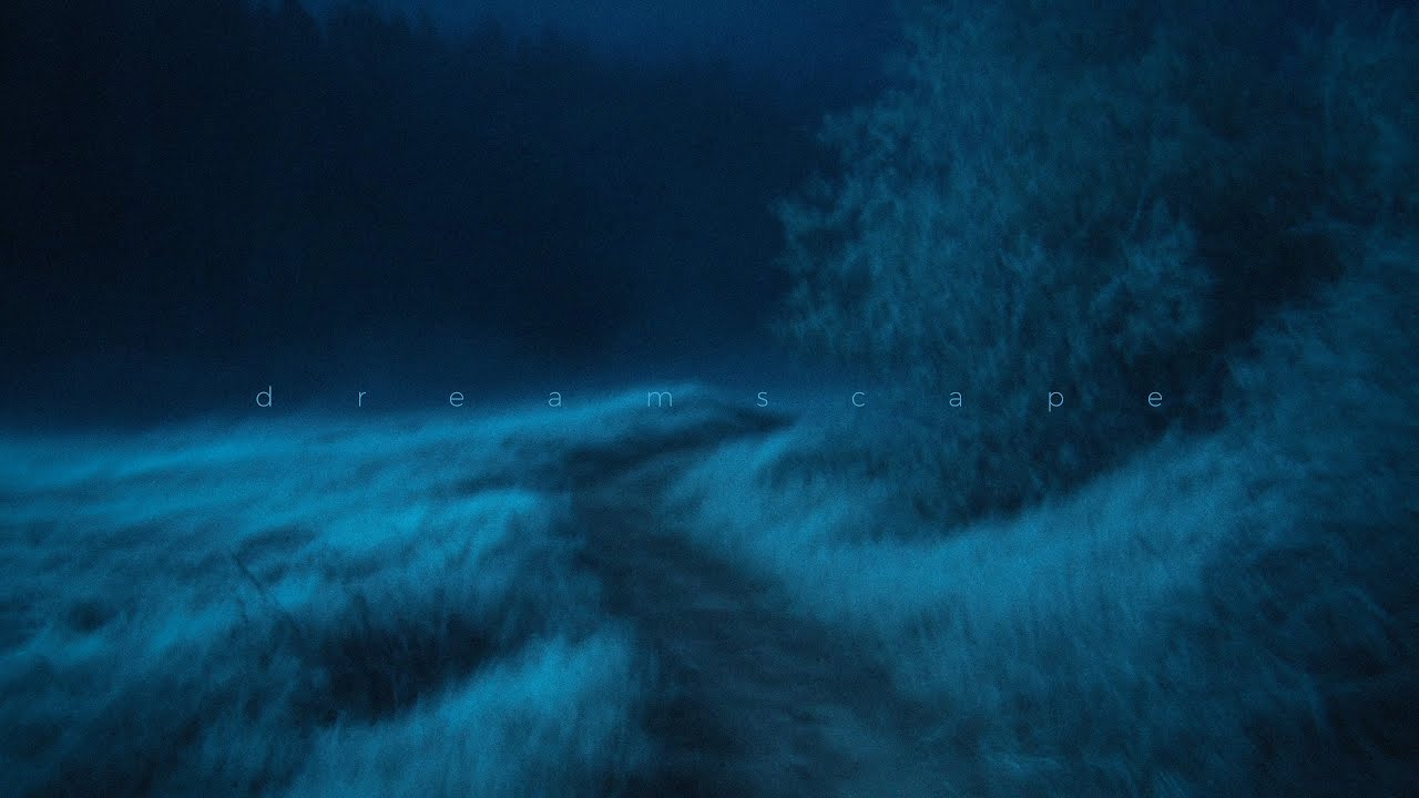 .diedlonely, blut own - snowfield