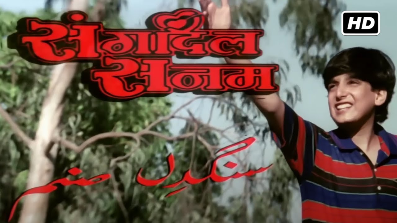 सलमान खान और मनीषा कोइराला की रोमांस से भरी सुपरहिट धमाकेदार मूवी SANGDIL SANAM FULL MOVIE HD (1994)