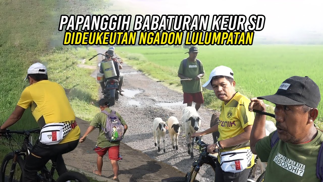 KETEMU ADUT TEMAN SEANGKATAN SD | DOMBANYA MAT1 BERANAK 4 - PENGEN BELI DOMBA GARUT UNGGUL