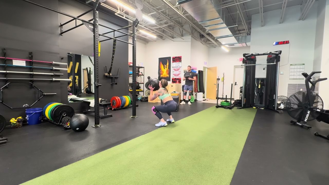 26.1