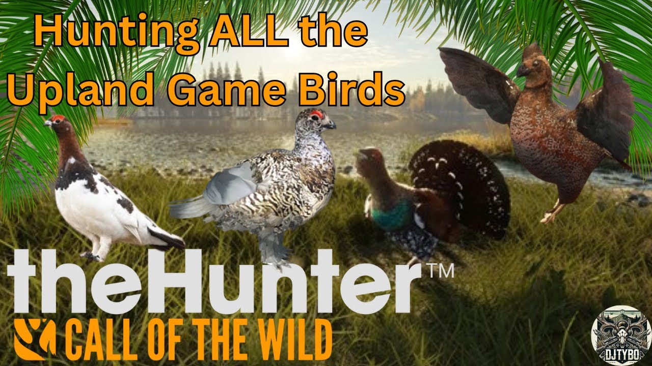 Hunting ALL Upland Game Birds | The Hunter: Call of The Wild