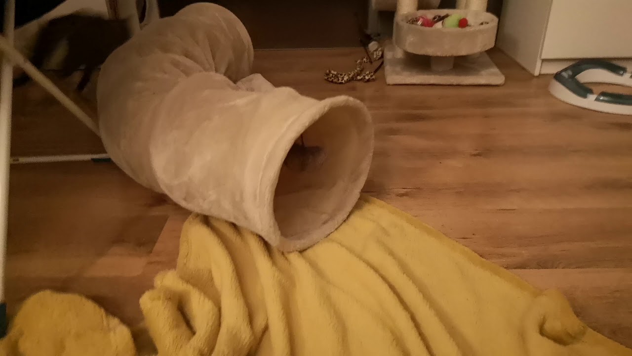 Stabilnie XD
