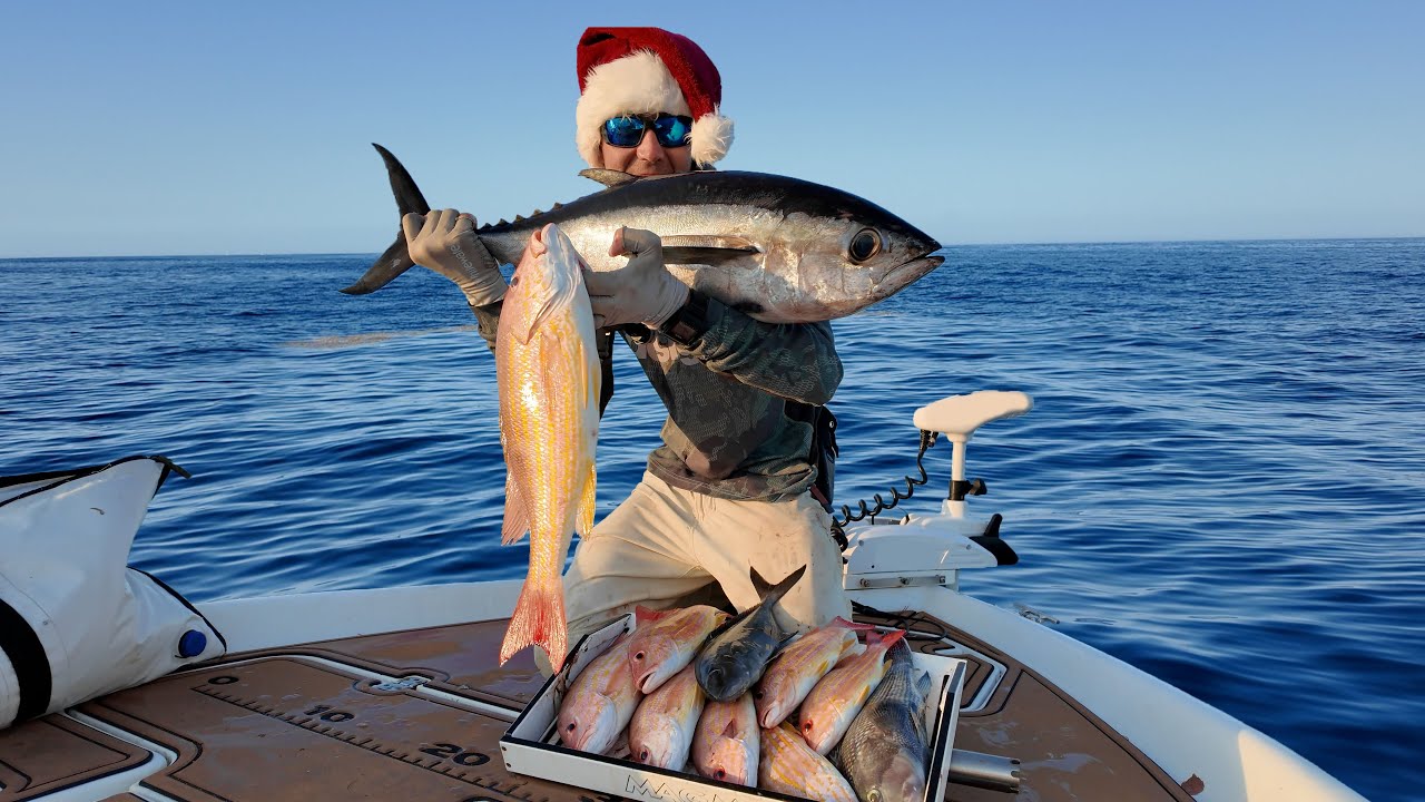 EPIC Multi-species Offshore Fishing | Underwater View Snapper Fishing