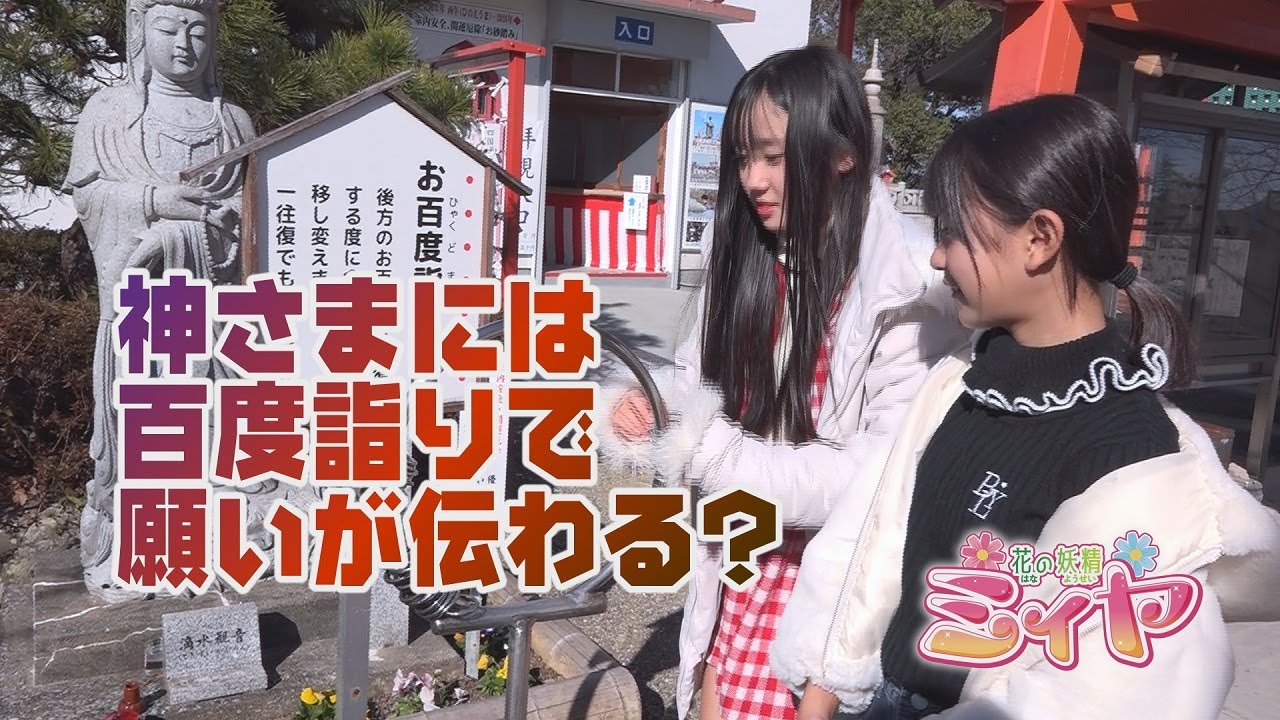 神さまに願いを伝えるキーワードは百度詣り！？ 今回は神社によっていろんな百度詣りの形式があるんですね♪