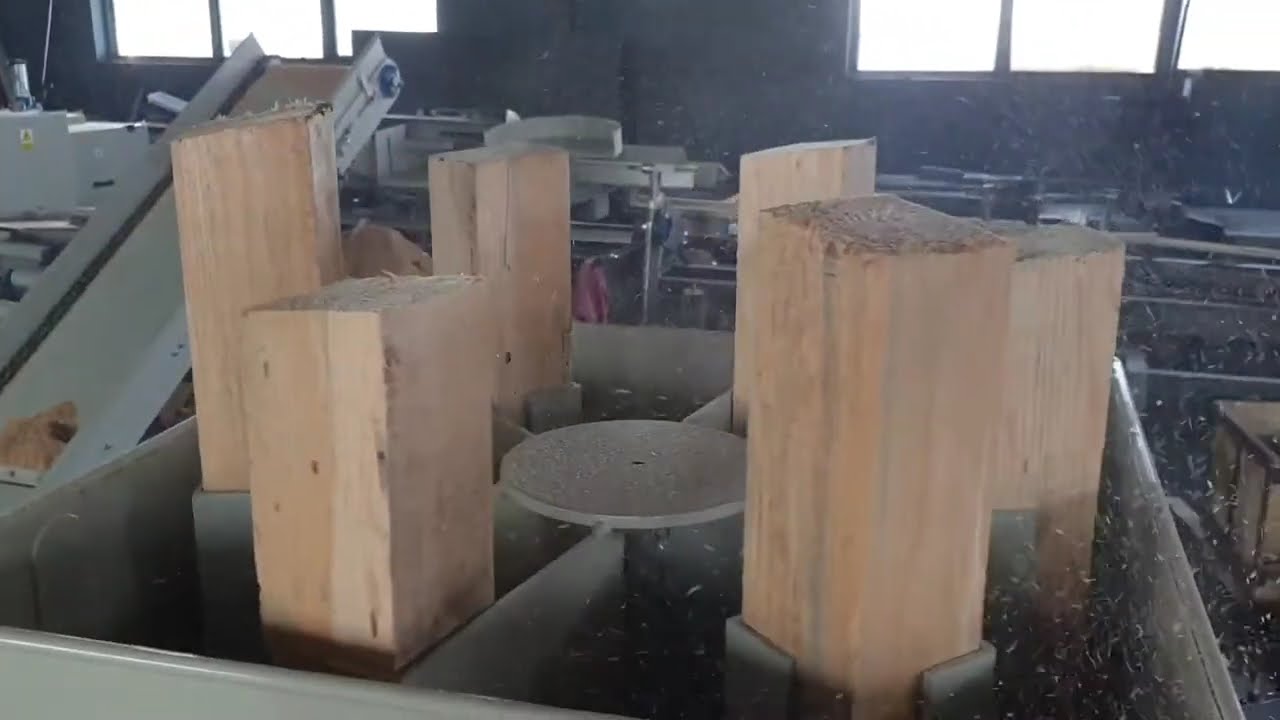 LIGNUMA Klockarka karuzelowa JP-4