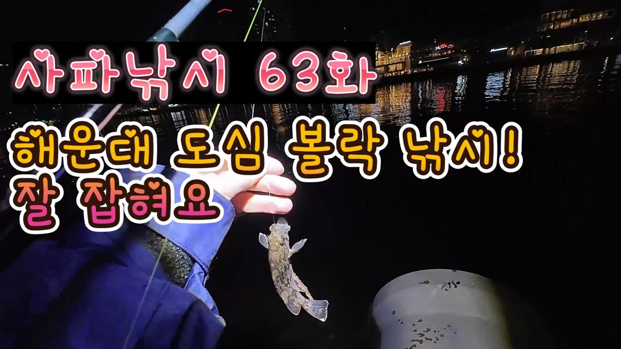 [사파낚시 63화] 해운대 도심에서 야간 볼락낚시를 하자! 이 포인트 던지면 나옴!