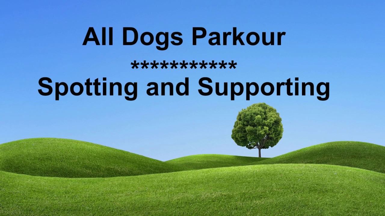 All Dogs Parkour - Teaching Spotting and Supporting