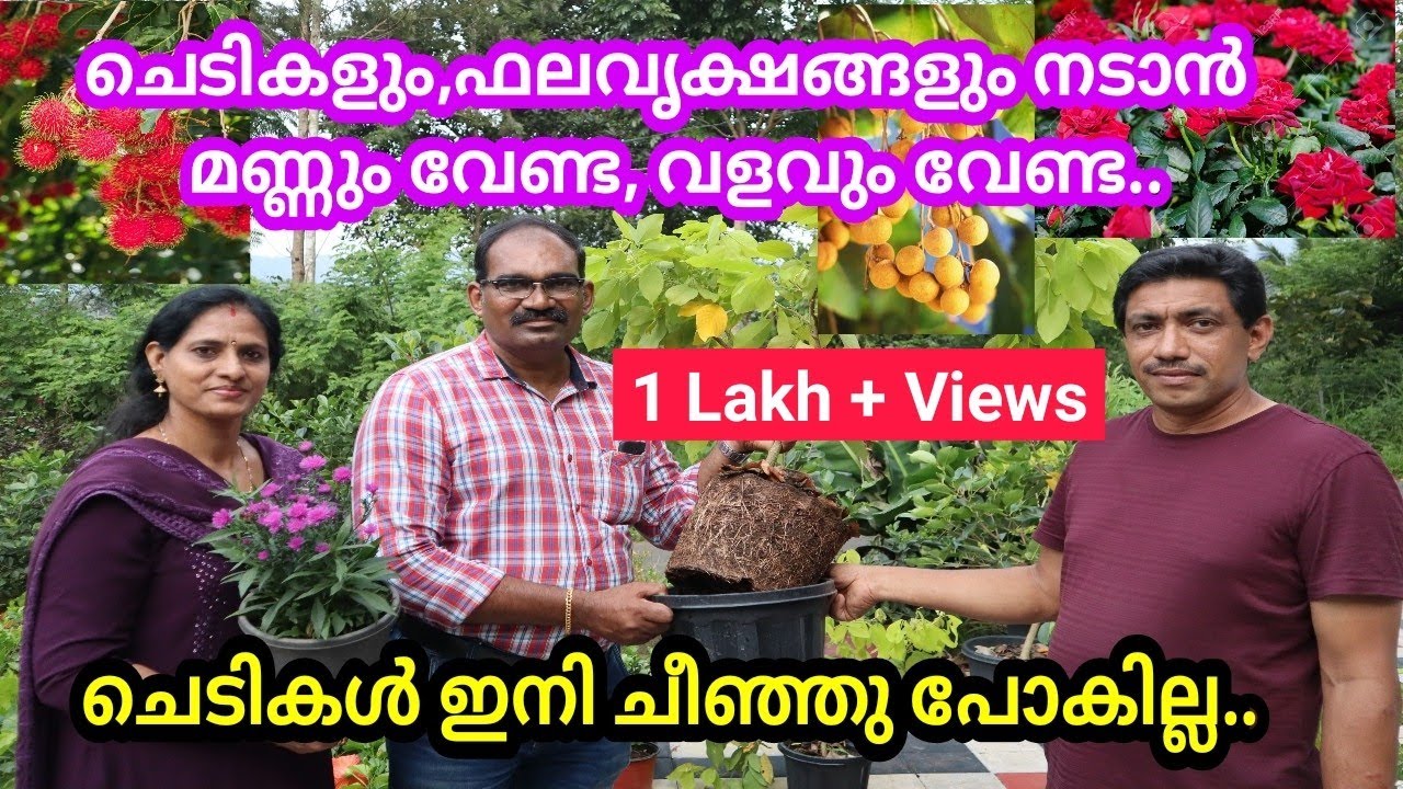 മണ്ണും വേണ്ട,വളവും വേണ്ട ഇനി ചെടികളും, ഫലവൃക്ഷങ്ങളും നട്ടുവളർത്താൻ./ഈസി ആയി ചെടികൾ വളർത്താം#easy pot