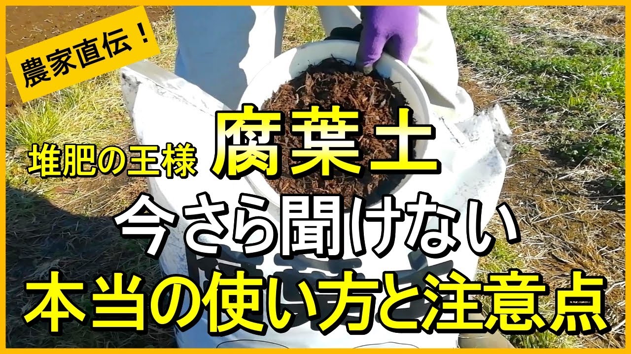 【腐葉土】土作りに最適！役割と正しい使い方や注意点を徹底解説【有機農家直伝！無農薬で育てる家庭菜園】　26/1/3