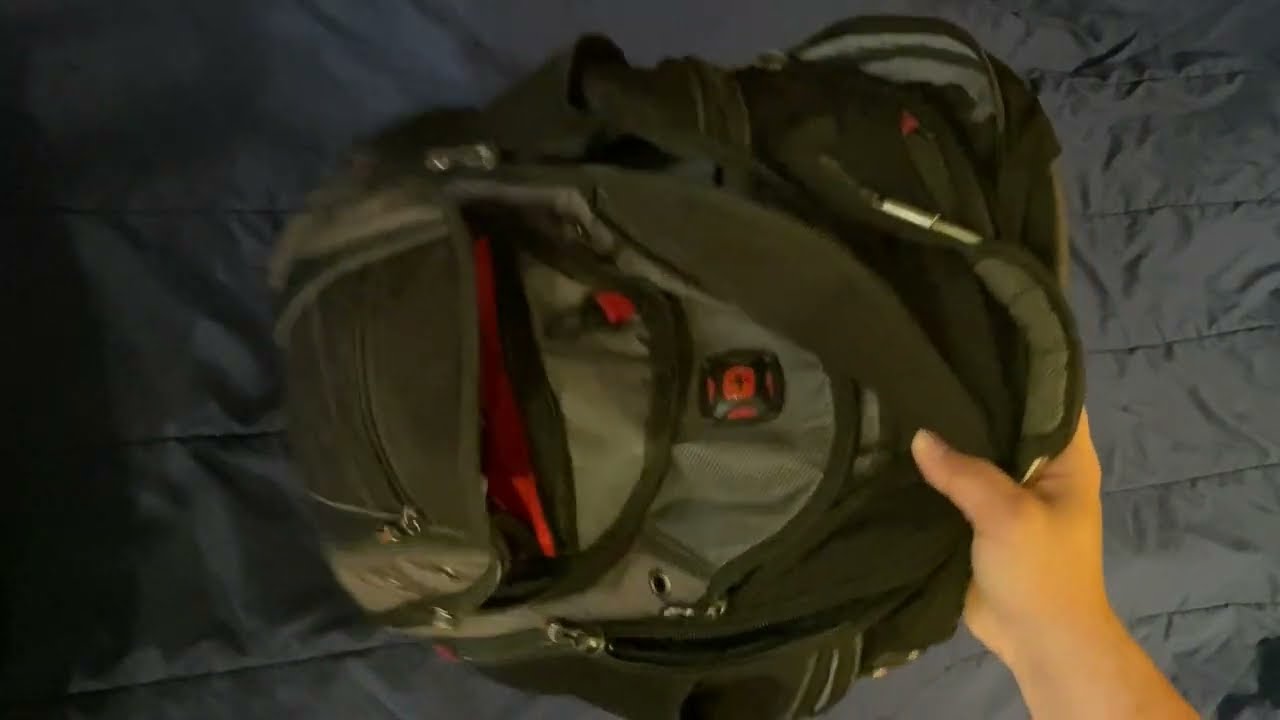Wegner Synergy Backpack Review